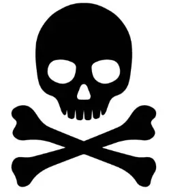 flag